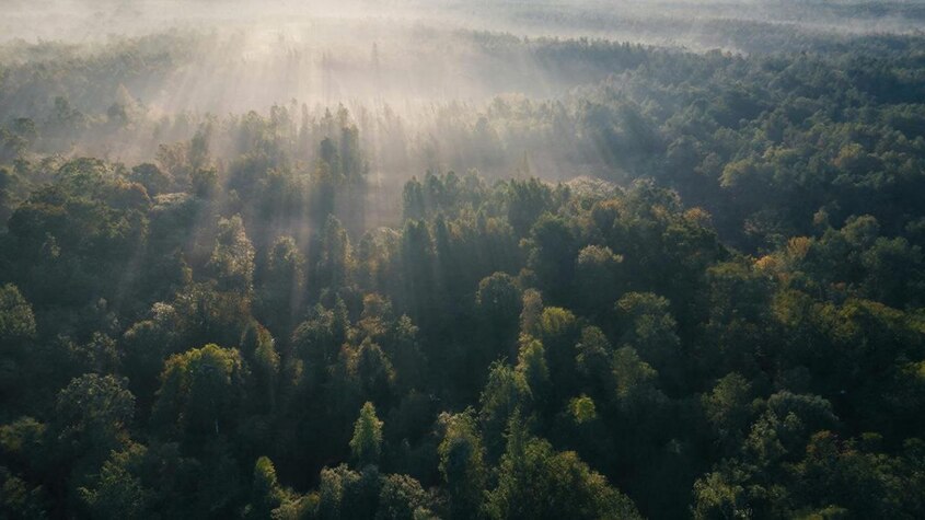 ����� ��������� ���������� ���� � ����